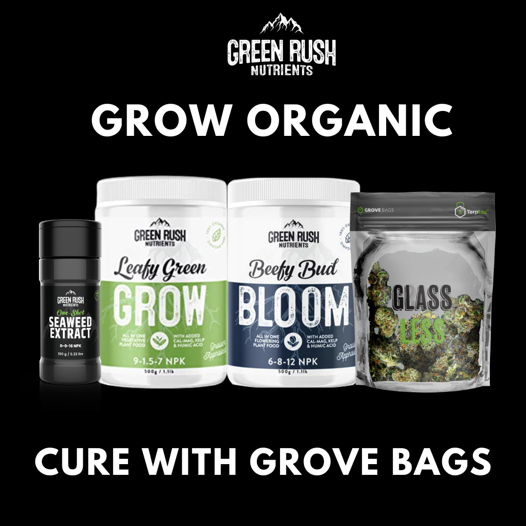 Grove Bags TerpLoc Curing & Storage Bags (1/2 oz Glassless) Green