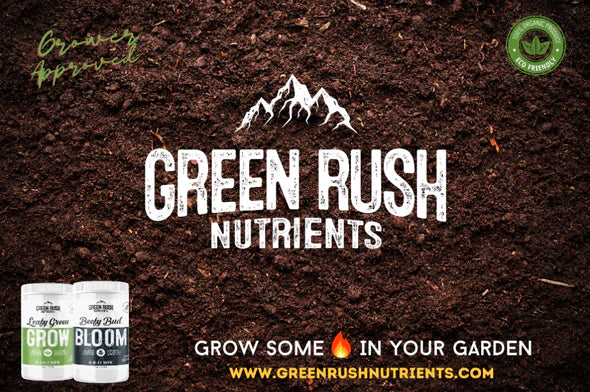 Unleash Your Green Thumb – Green Rush Nutrients