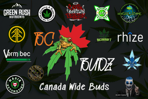 BC Budz Canada Wide Banner