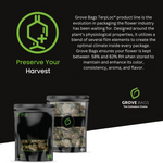 Load image into Gallery viewer, Grove Bags - TerpLoc Curing &amp; Storage Bags (Sampler Pack)
