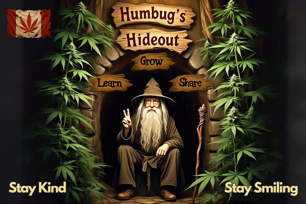 Humbug's Hideout Banner