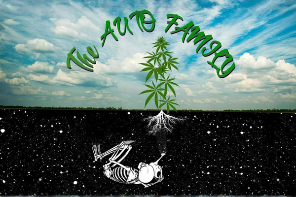 The Auto Family Banner