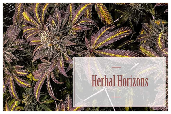 Herbal Horizons Vinyl Banner