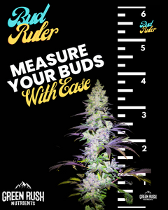 Bud Ruler: Indoor Measuring Tool For Your Harvest (6 Foot Ruler)