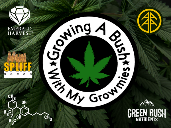 Growing a Bush With My Growmies Vinyl Banner